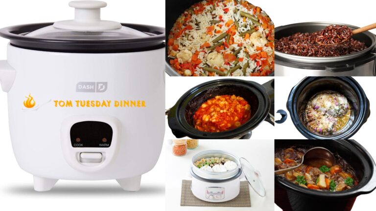 Dash Mini Rice Cooker Recipes Elevate Your Culinary Experience