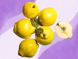 Quince fruit