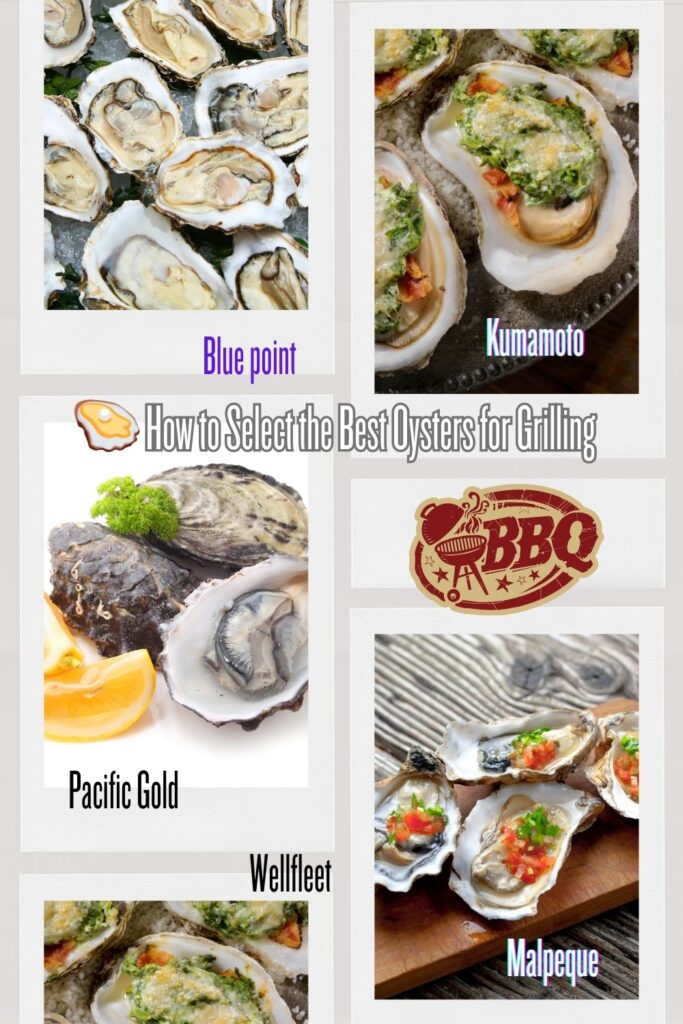 A collage of different types of oysters with labels, showcasing Blue Point, Kumamoto, Pacific Gold, Wellfleet, and Malpeque oysters, along with a title "How to Select the Best Oysters for Grilling" and a BBQ logo.