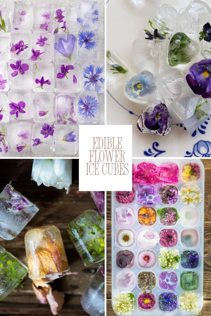 Various ice cubes with edible flowers frozen inside them, displayed in different arrangements.