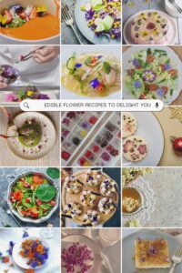 A collage of various dishes featuring edible flowers, showcasing their use in different recipes.