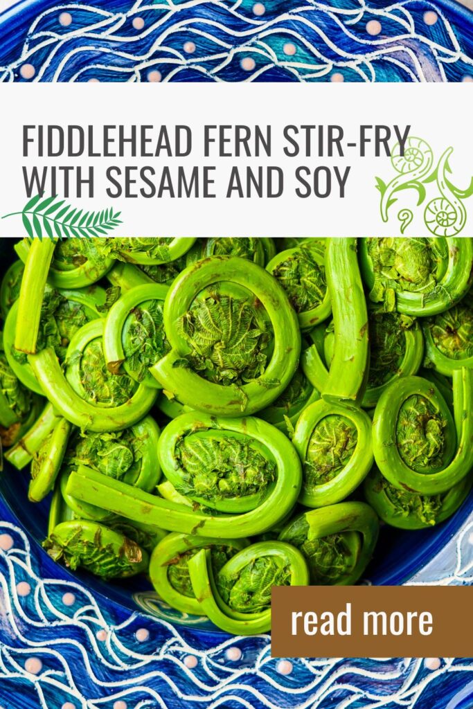 A vibrant dish of fiddlehead ferns, labeled "Fiddlehead Fern Stir-Fry with Sesame and Soy," with a decorative blue and white patterned background.