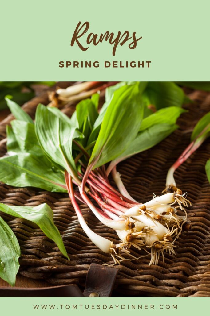 Fresh ramps with green leaves and white bulbs on a woven basket, showcasing a spring delight.