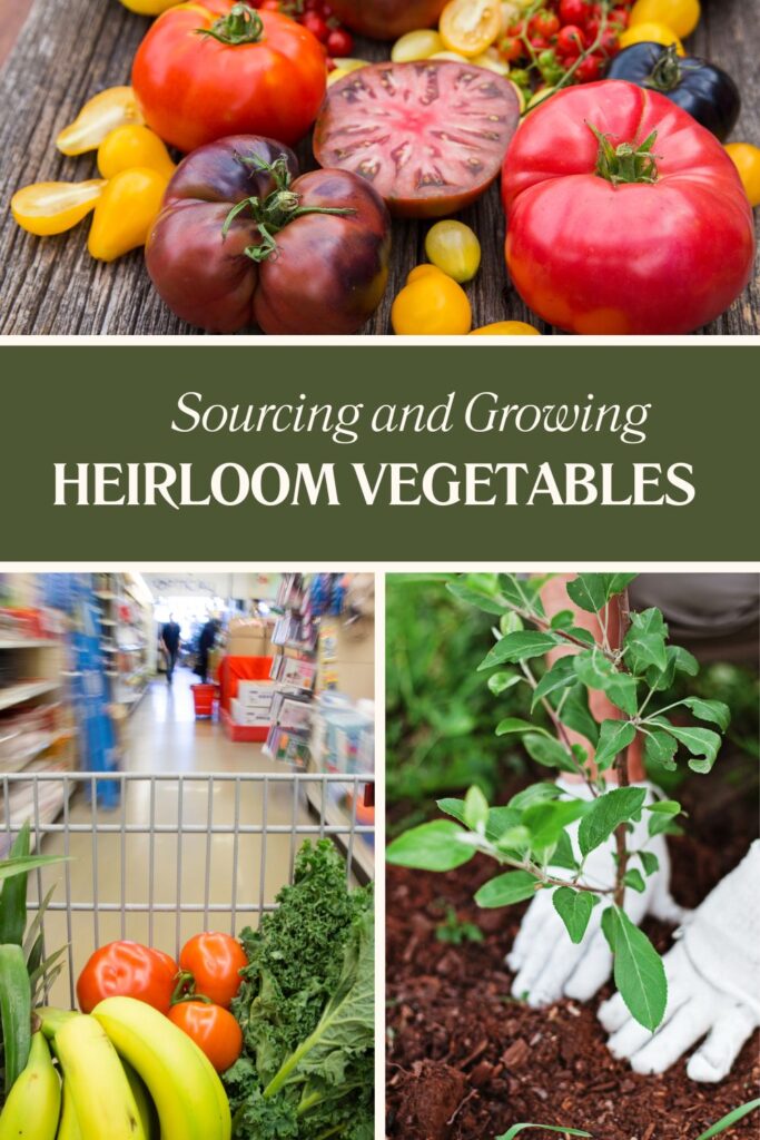 A collage featuring colorful heirloom tomatoes, a shopping cart with fresh produce, and a person planting a seedling.